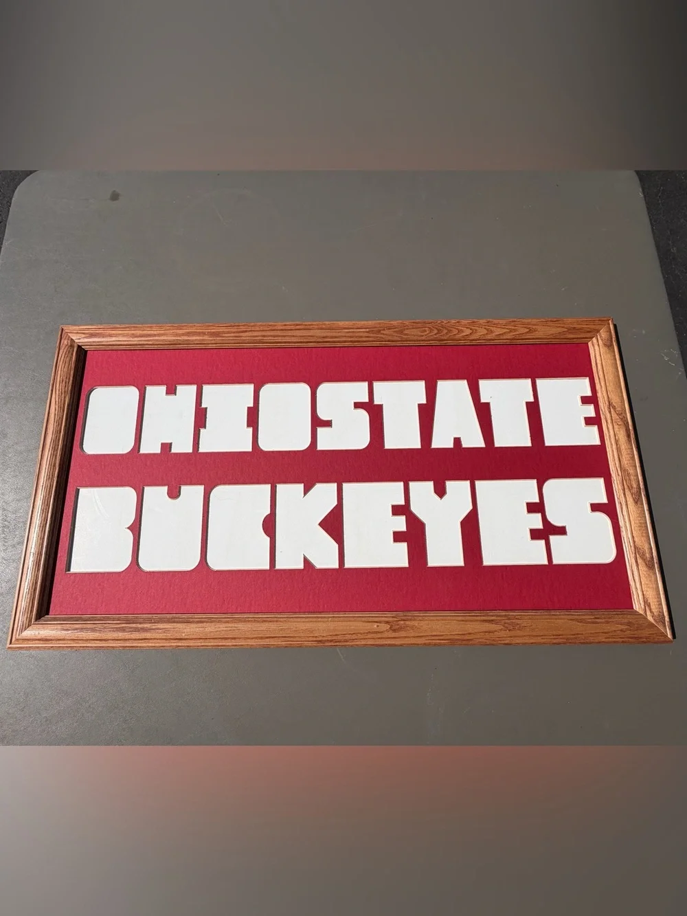 OHIO STATE BUCKEYES picture photo mat wood frame NO glass 14x26